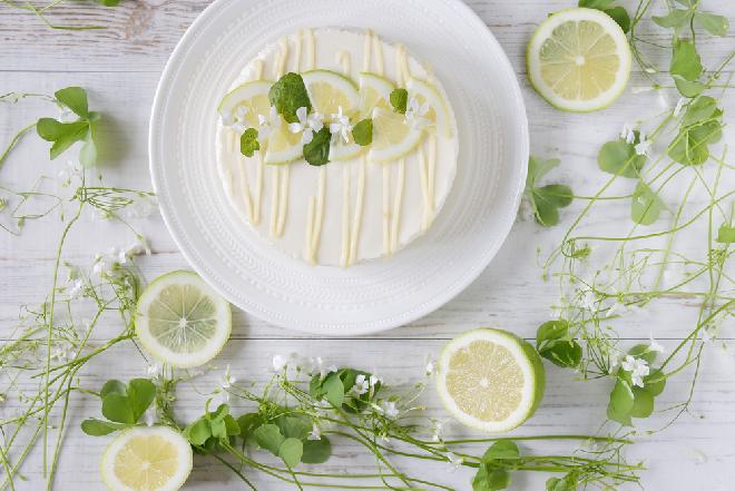 Obłędny sernik Maragarita o smaku limonki i tequili: pyszny deser tylko dla dorosłych