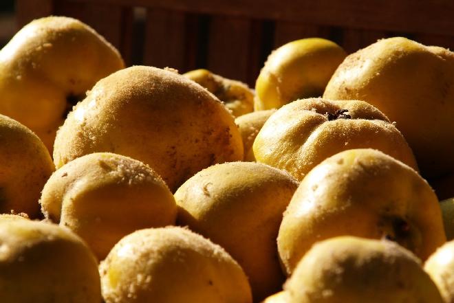 Polskie odpowiedniki superfood - modnego i wartościowego jedzenia